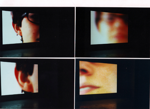 "La vie en Rose", Video Installation, Grenoble, 2000