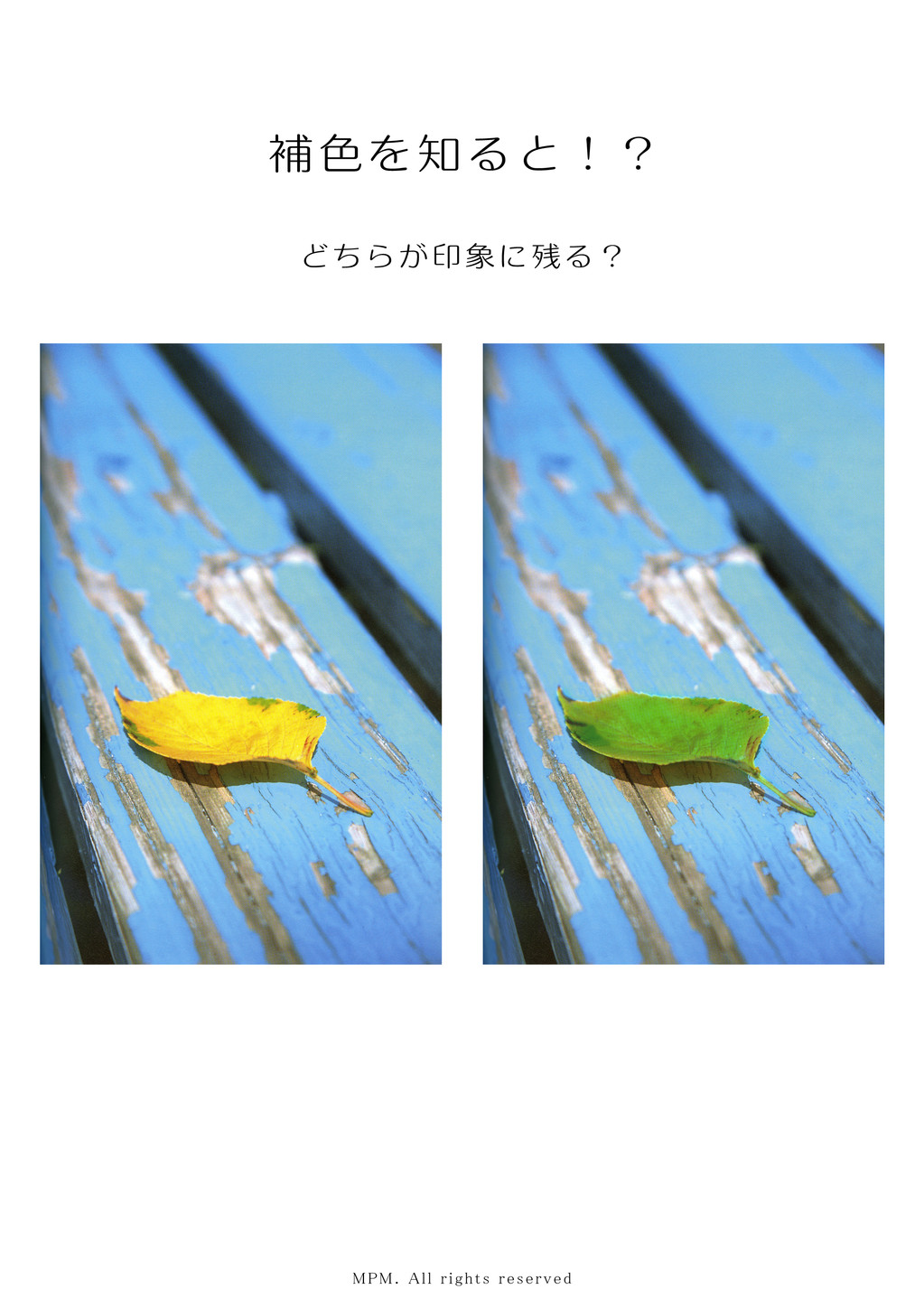 Susuphoto写真教室14 補色について 自然な写真が残せるスタジオ京都 滋賀 Susuphoto写真教室14 補色について 自然な写真が残せるスタジオ京都 滋賀