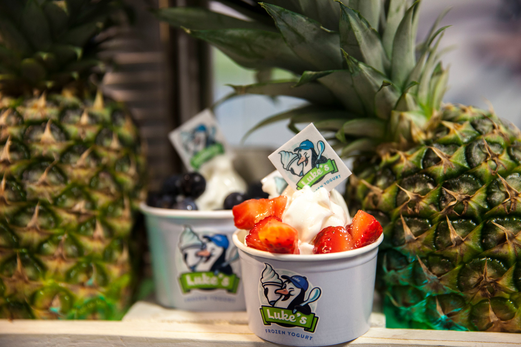 Frozen Yogurt in Hamburg Lukes Frozen Yogurt Events & Catering