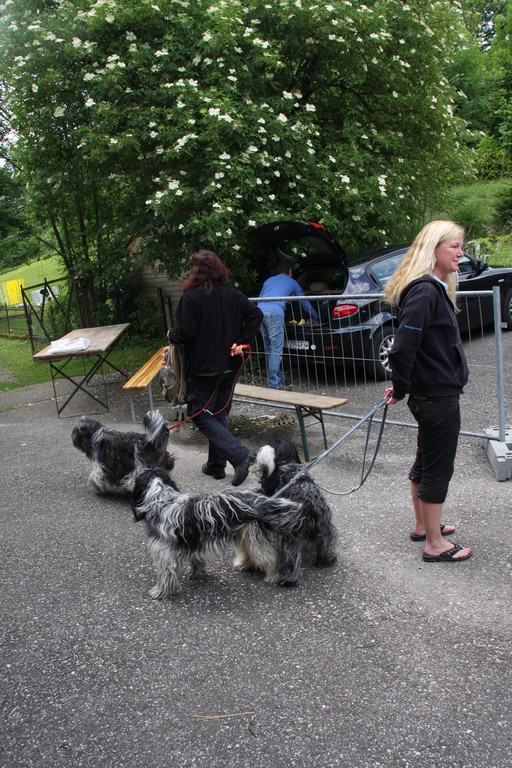 Natascha mit ihren Hunden vor der Ankörung