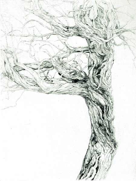 Kaltnadelradierung. 1/5. 20 x 15 cm. 2020. 