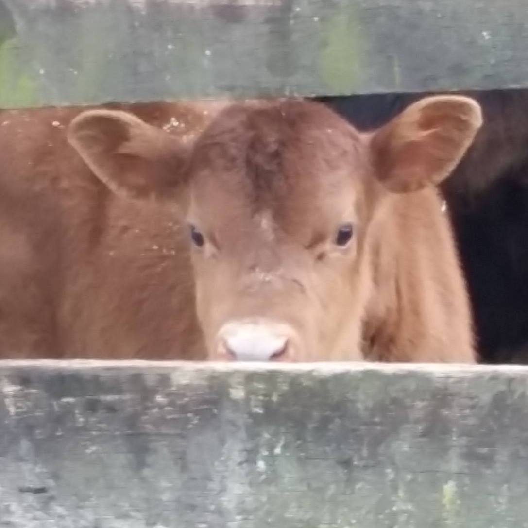 Peek-a-boo...I see you!