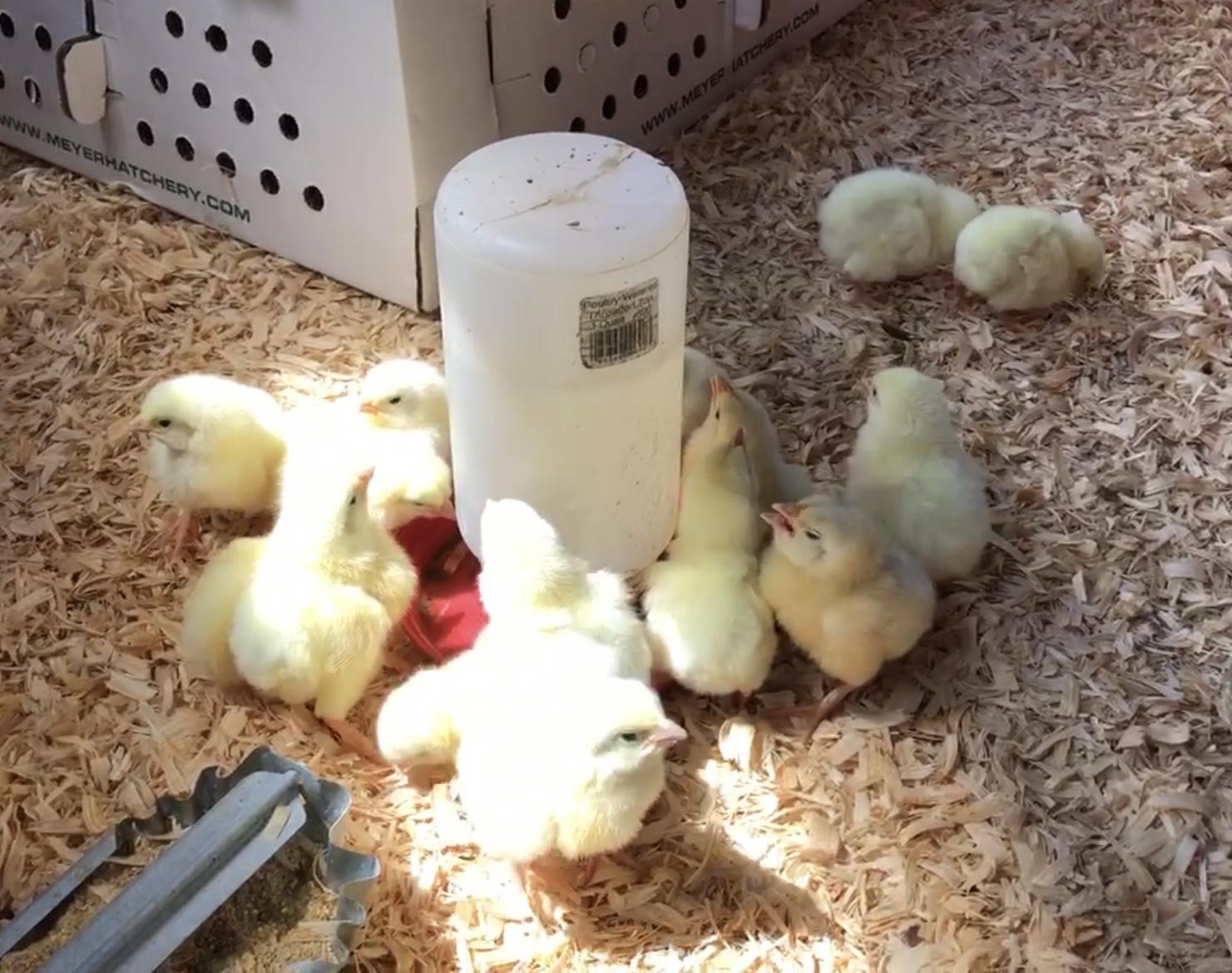 Gathered around the watering hole!