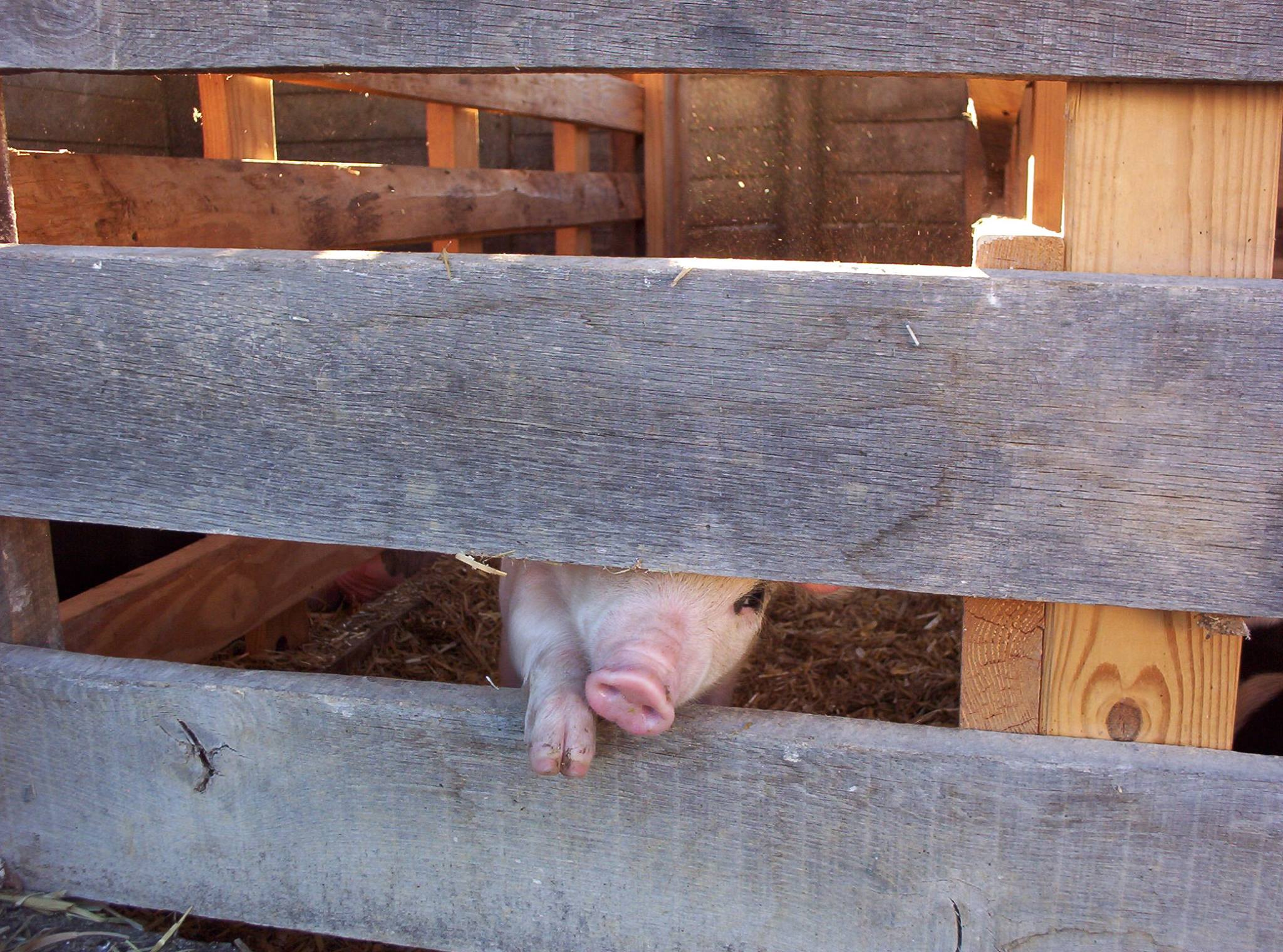 Let me out of here!