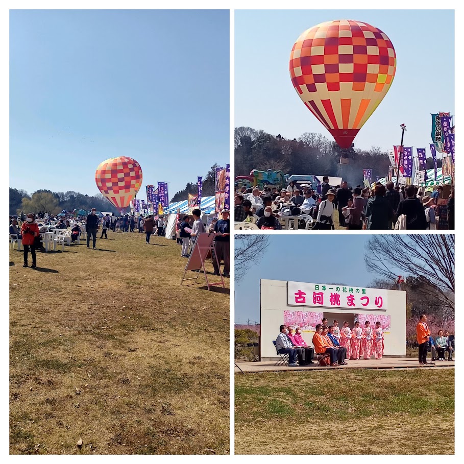 桃まつりオープニングと会場 