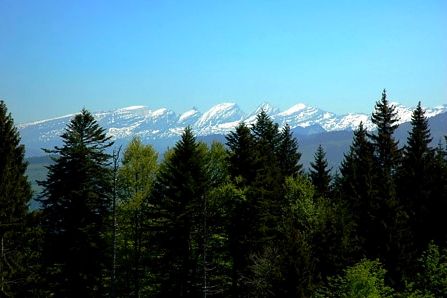 Aussicht vom Girlen auf Churfirsten