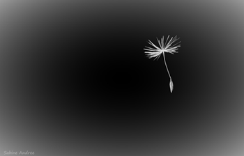 Download Sprueche ueber allein gelassen fuehlen For Free