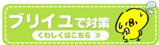 採風 採光 遮光 目隠し 防犯対策 防犯 熱中症対策 室内熱中症 ブリイユ オイレスECO シャッター 出窓にもつけれるシャッター 暑さ対策 電動 手動 ブリイユ 今の窓につけれる 外付けブラインド  採風 大垣 大垣市 岐阜 岐阜市 羽島 羽島市 瑞穂 瑞穂市 養老 海津 輪之内 垂井 関ケ原 神戸 池田 揖斐 大野 本巣 本巣市 北方町 各務原 各務原市