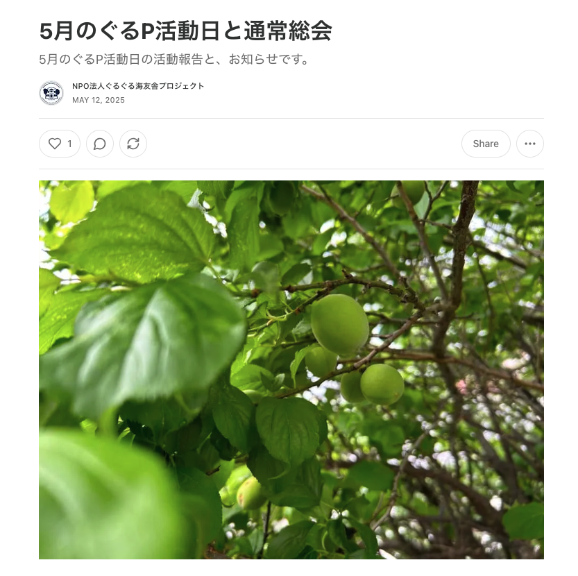 ニュースレターを始めます