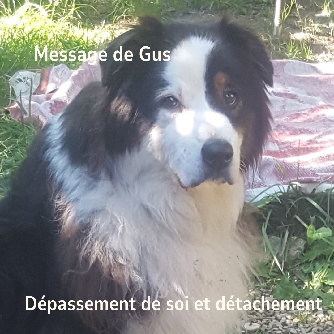 Message de Gus : dépassement de soi et détachement