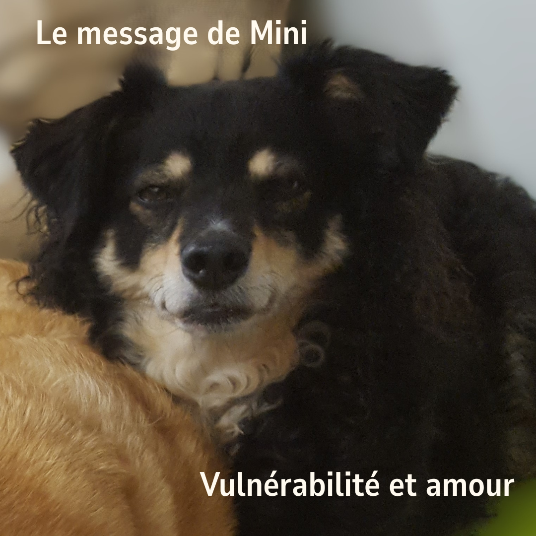Message de Mini : Vulnérabilité et Amour