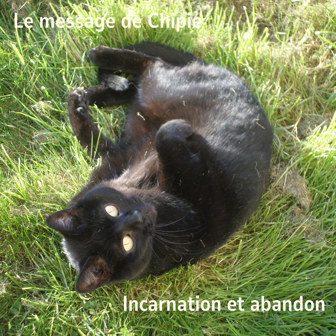 Message de Chipie : Incarnation et abandon