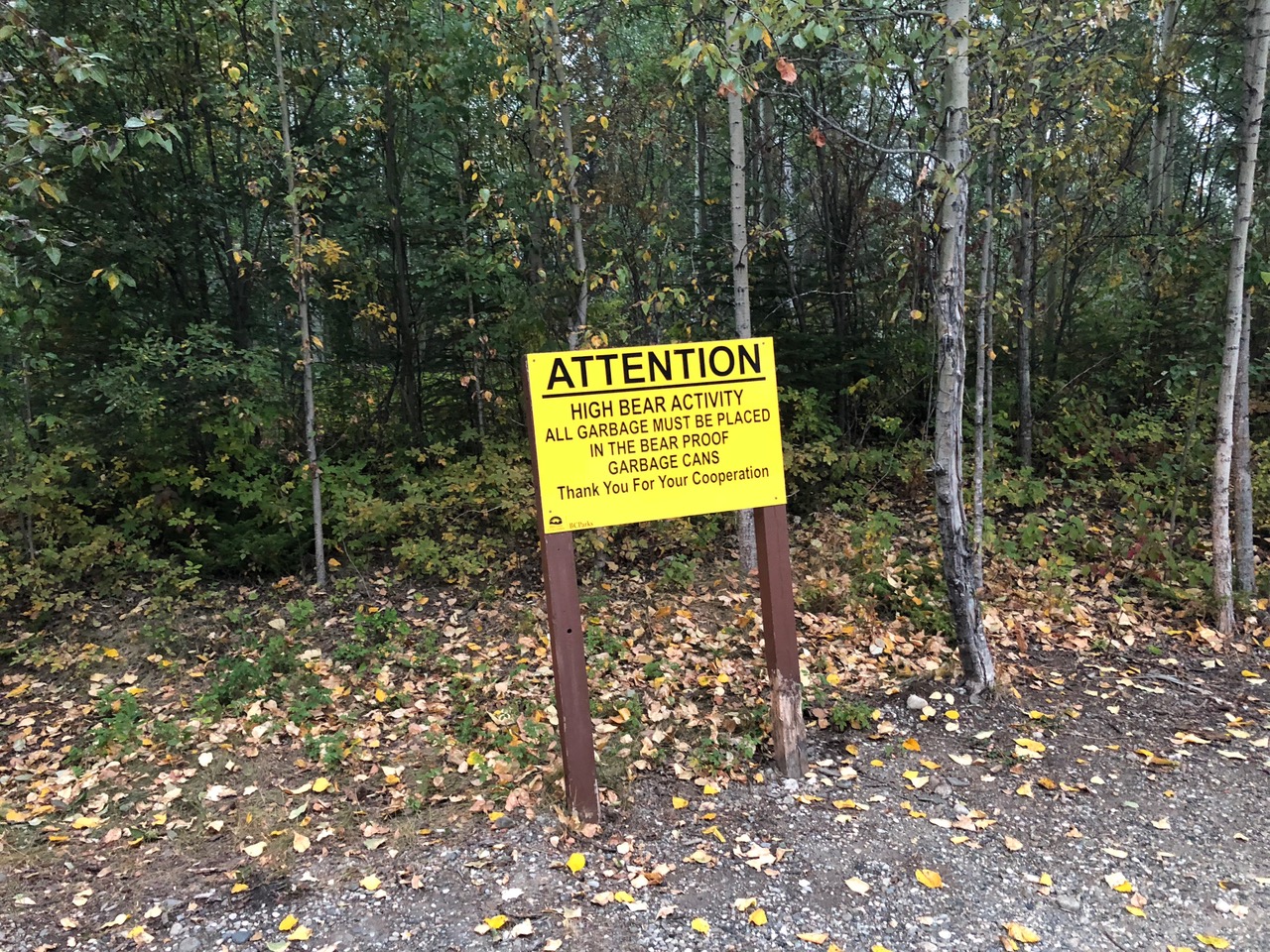 Beware of Bears