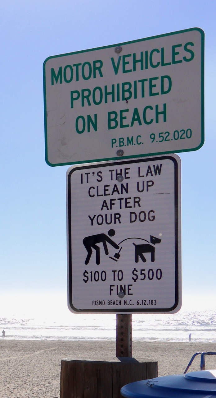 Clean up after your dog!
