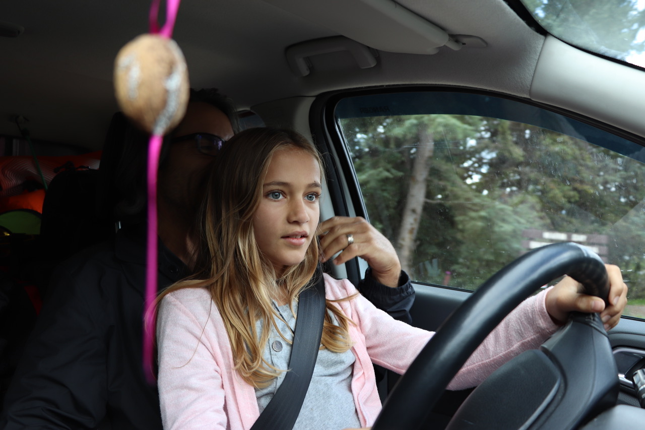 Driving Lessons alone??
