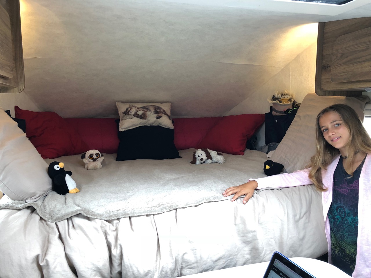 Lynn's Teddy Setup 2
