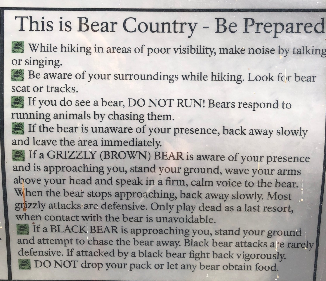 Bear Instructions