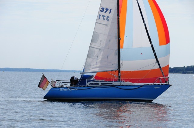 Windspiel -  Bianca 28 von Chrissies Großcousin Jürgen- en passant in der Eckernförder Bucht