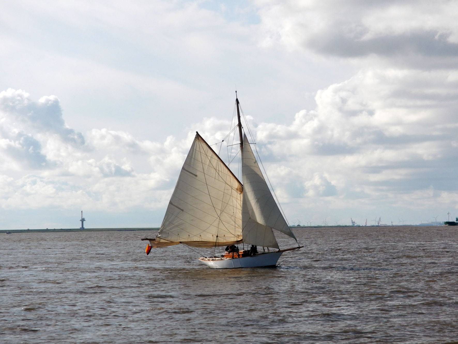 Drac- kleine William Fife aus Schottland