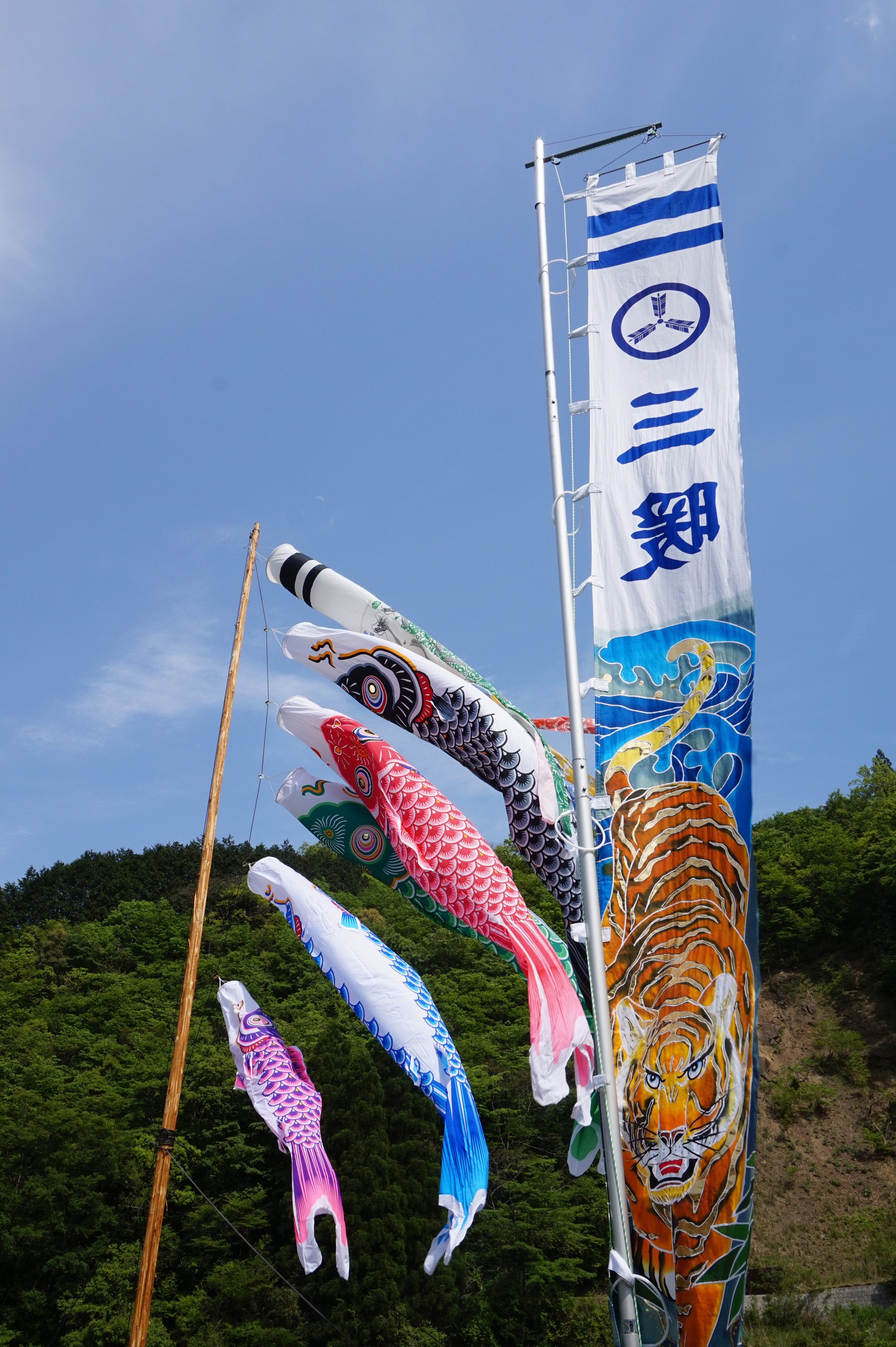 家族をつなぐ木のこいのぼり 家族をつなぐ木のこいのぼり