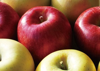 🍎初物りんご（極希少なため贈答・家庭用の別はございません