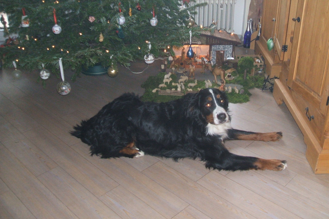 Weihnachten 2007