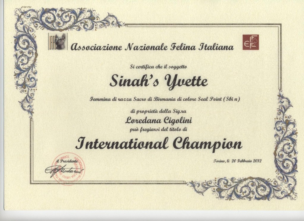 Titolo International Champion