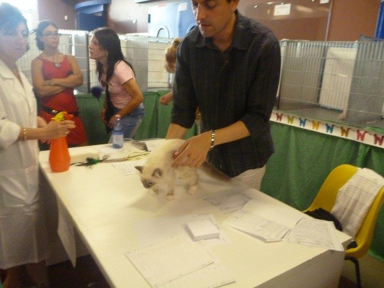 Expo Jesolo 2012