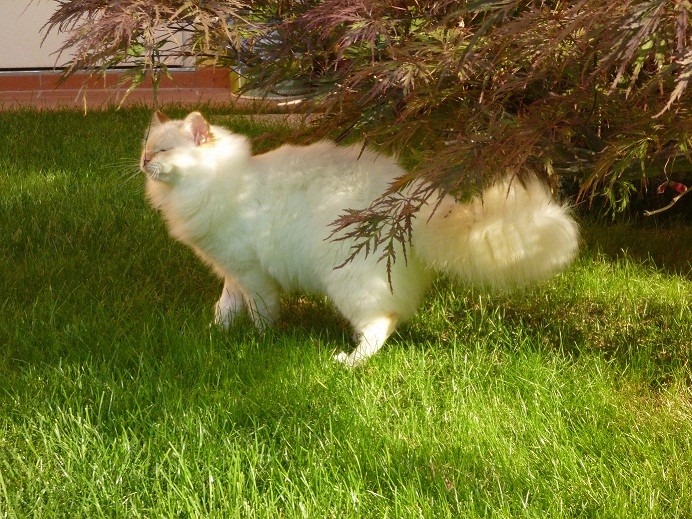 a 6 mesi e mezzo