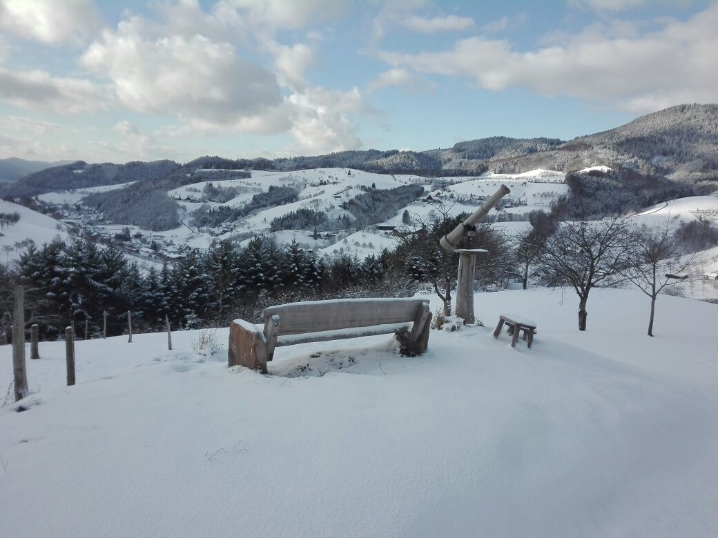 Oberharmersbach im Winter