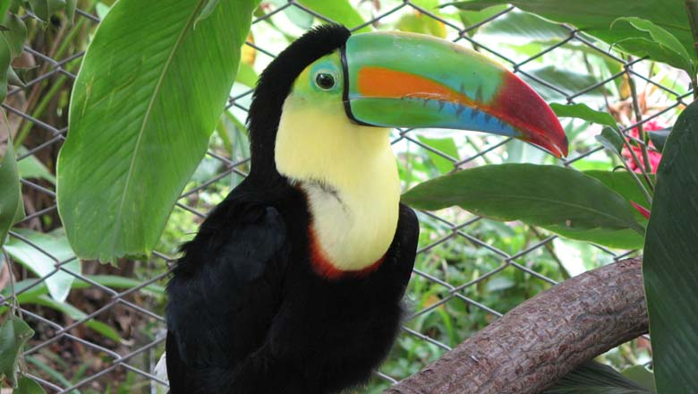 Costa Rica Rundreise