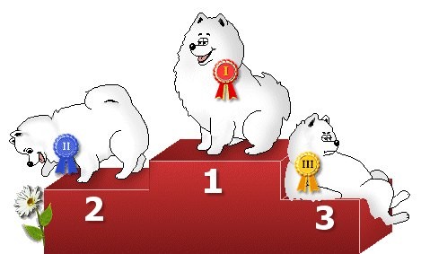 Открытки выставка собак
