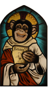 glas in lood heilig aapje / stained glass holy monkey
