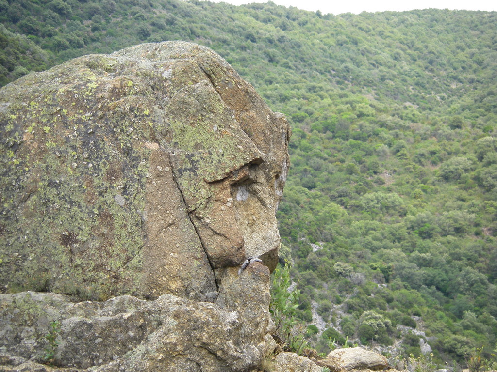 Dans le col des Auzines.