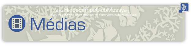 #HeadPage/MEDIAS
