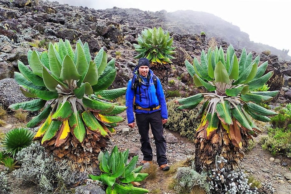 From Lava Tower Down To Baranco Camp - Kilimanjaro Company