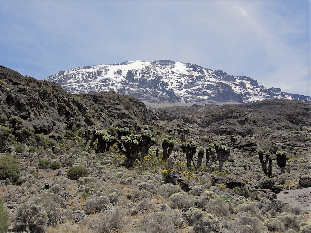 Barranco Camp to Karanga Camp