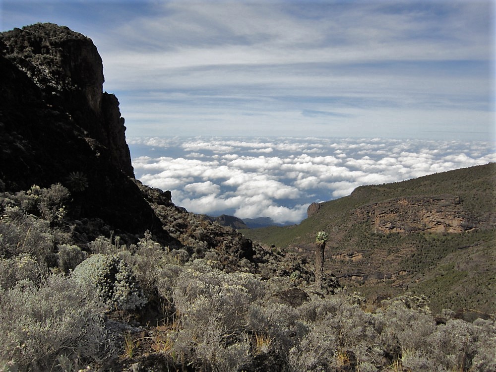 Private Tours Mount Kilimanjaro