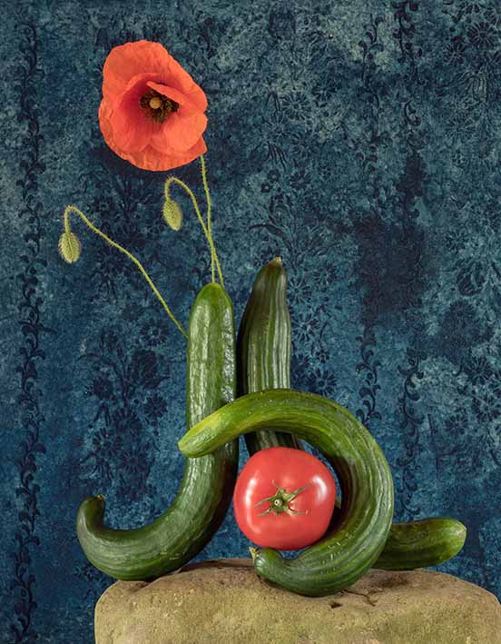 Gurken, Klatschmohn, Tomate