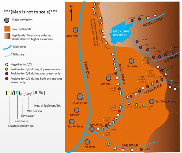 Graphical representation of study site showing distribution and concentration of Cryptosporidium and Giardia (oo)cysts at sampling points.                                                                                 