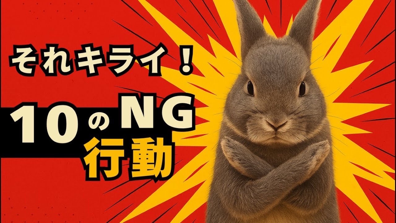 うさぎにやってはいけない10のNG行動｜知らずに嫌われてませんか？