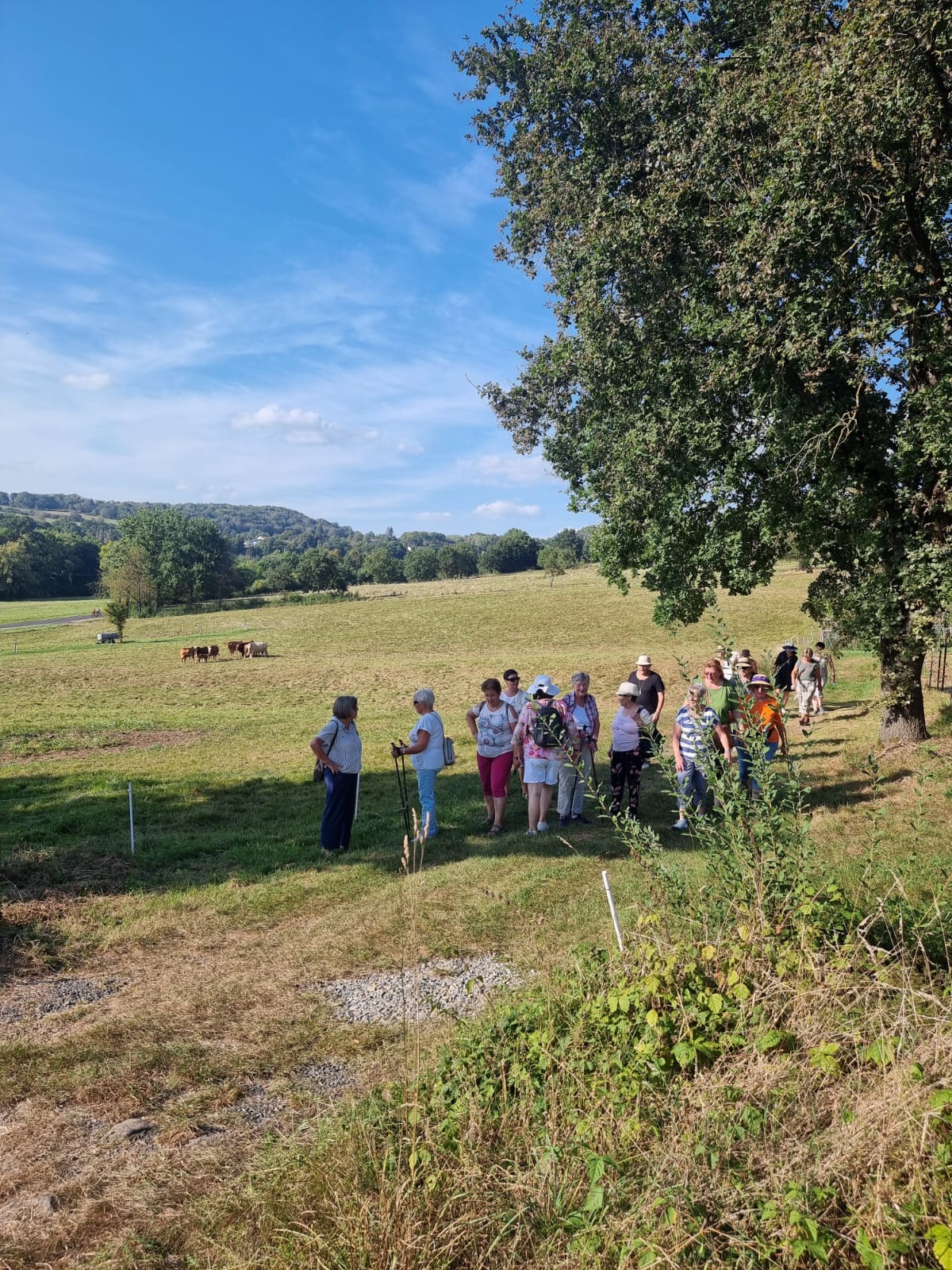 Dekanatsfrauen unterwegs. Foto: Elisabeth Engler-Starck