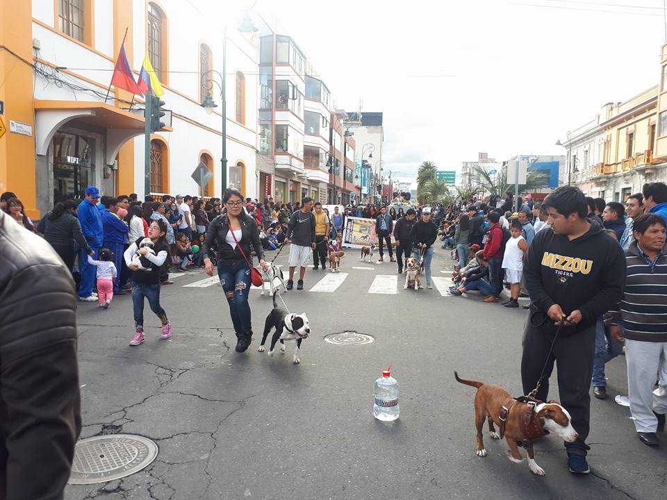 diversion