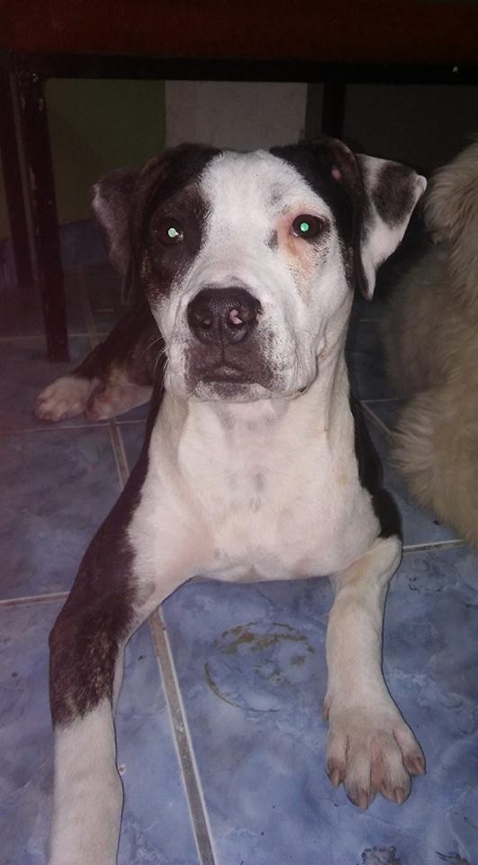 Molly