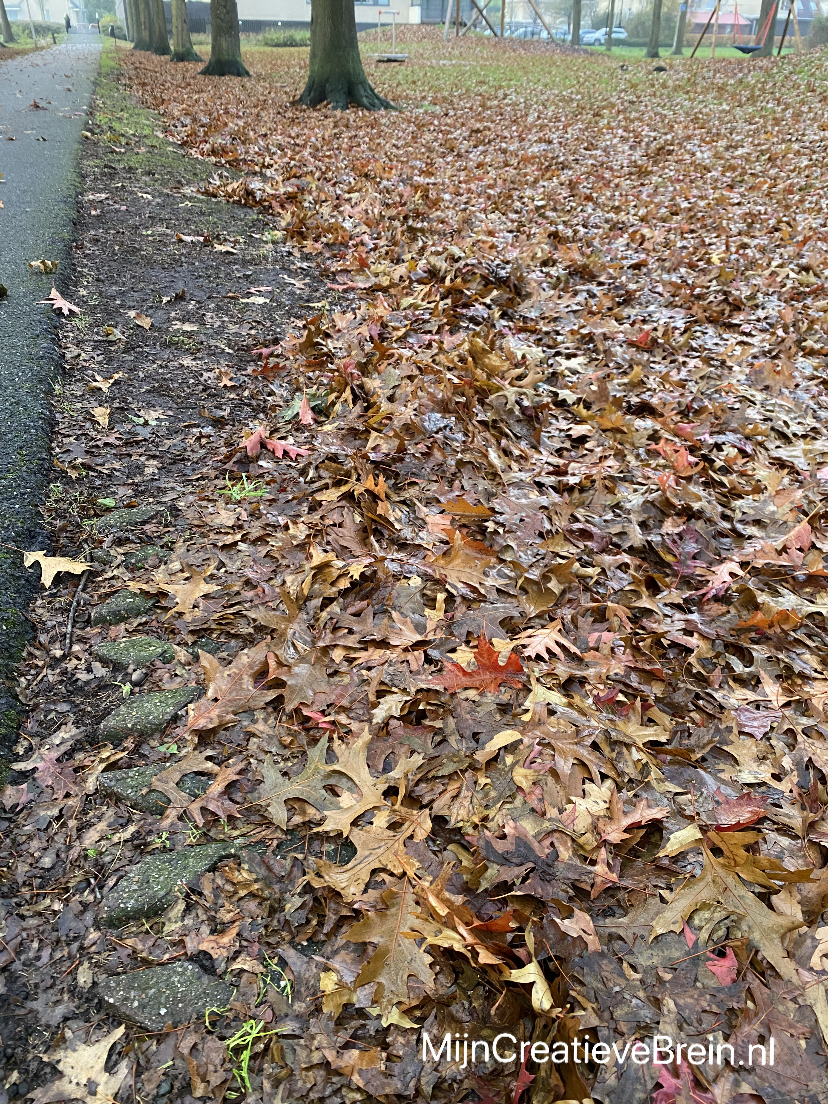 Golvende herfstbladeren aan zee