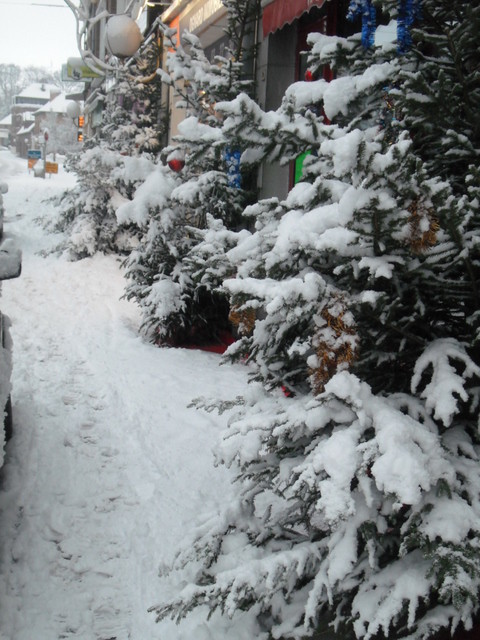 Face aux commerces, rue Bocquet