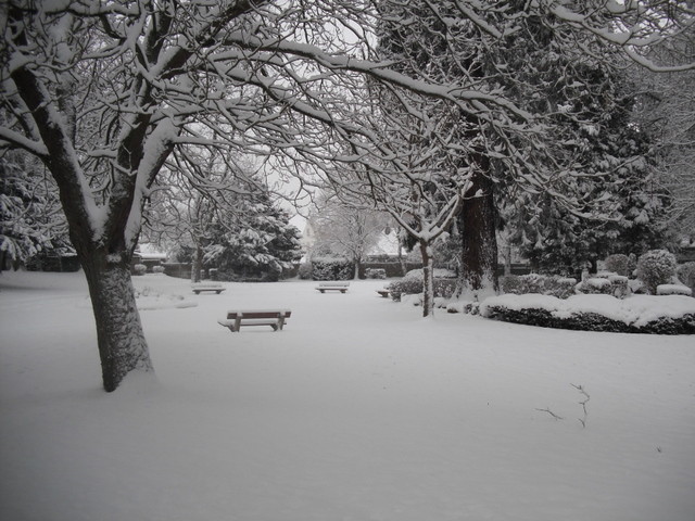 Le parc municipal