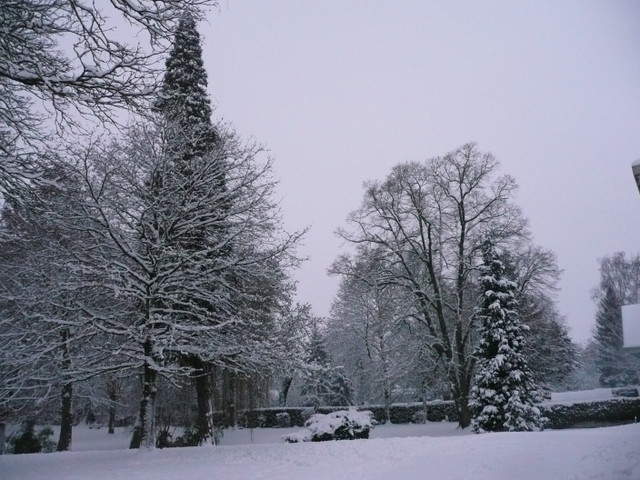 Le parc municipal