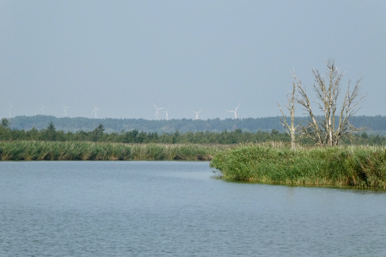 Peene Landschaft