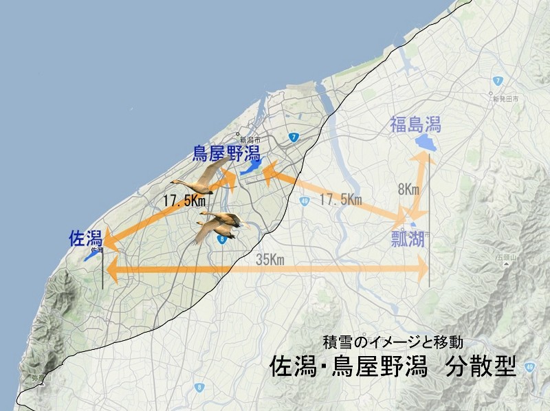 積雪となる1月～2月ころ（積雪深大）